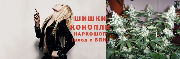 гидра Абаза