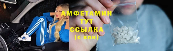 гидра Абаза