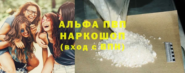 гидра Абаза
