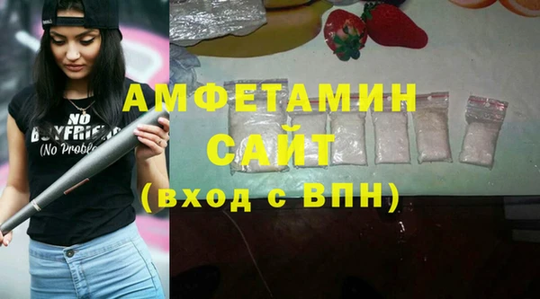 гидра Абаза