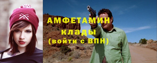 гидра Абаза
